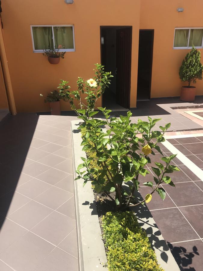 Hostal El Hangar Рионегро Екстериор снимка